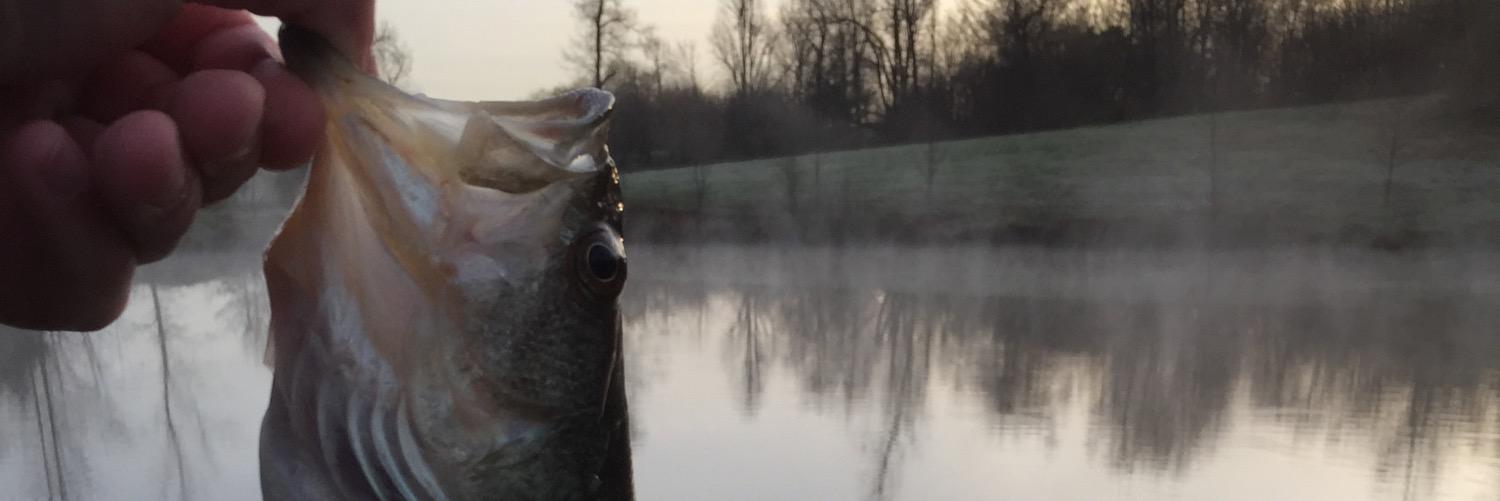 UncleHunter4's profile banner image