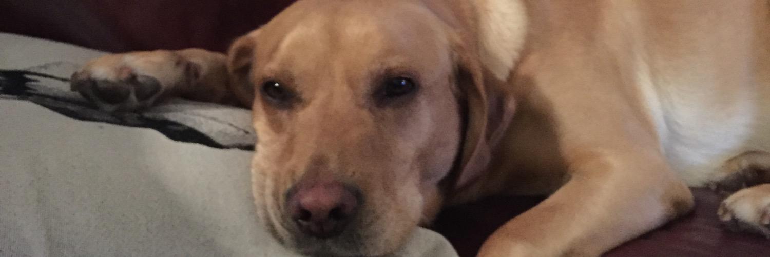 akaHarvey's profile banner image