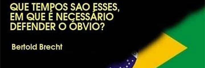 carneirovirtual's profile banner image