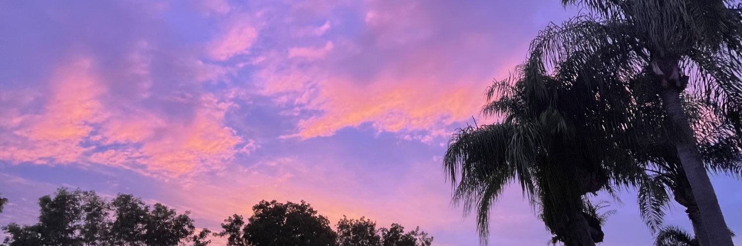 babbosauer's profile banner image
