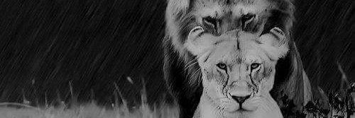 duanemp_'s profile banner image