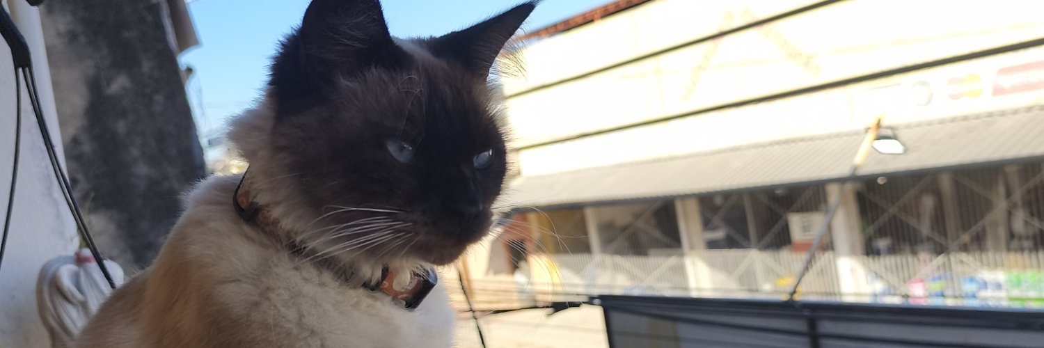 jottagang's profile banner image