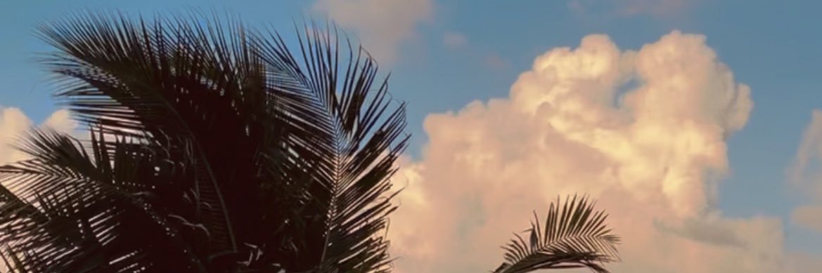 OhDearRosa's profile banner image
