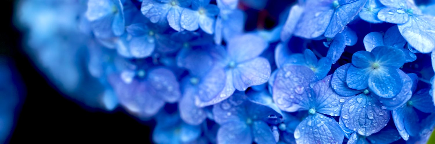 大前多恵（Tae Omae） banner