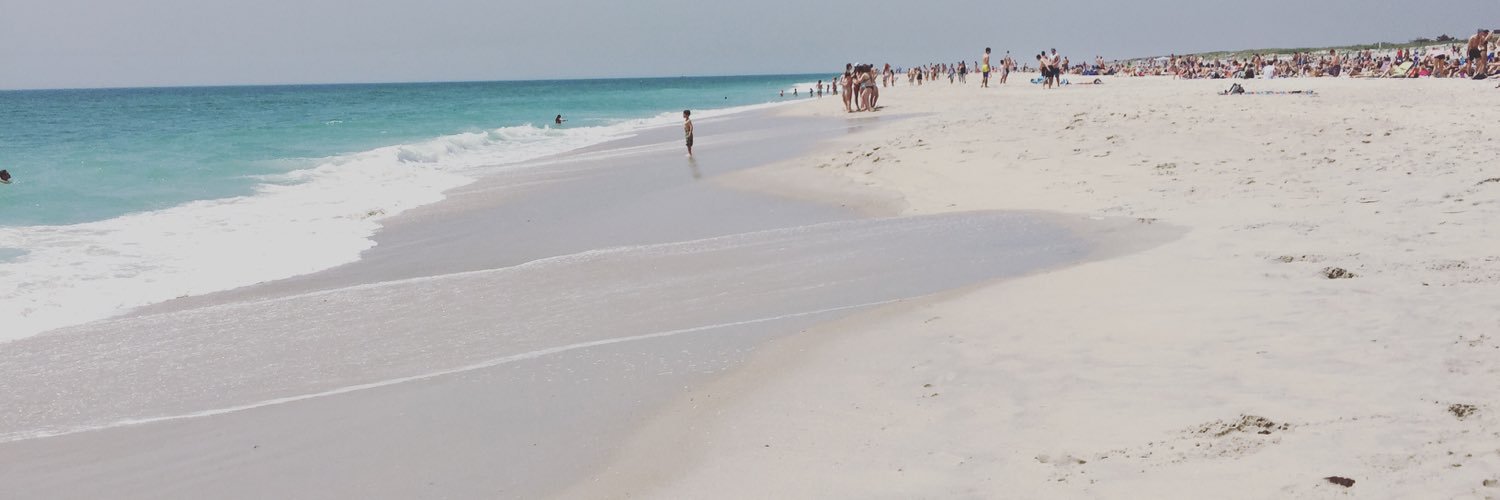robinandthicke's profile banner image