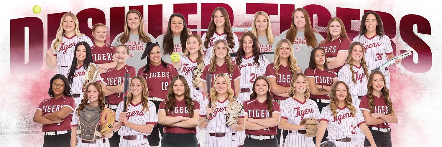Deshler Softball banner