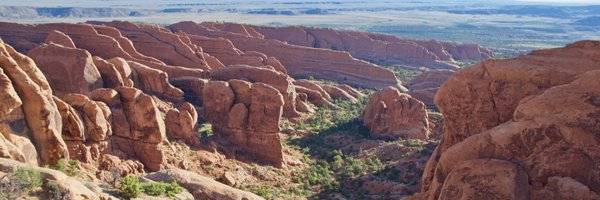 tcmicka Profile Banner