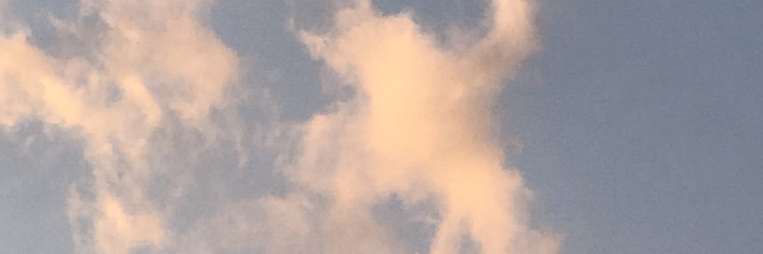 ines_eloise's profile banner image