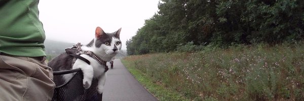 SkiRunLift Profile Banner