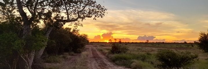 Rodolfo Kliewer 🌾🐂 banner