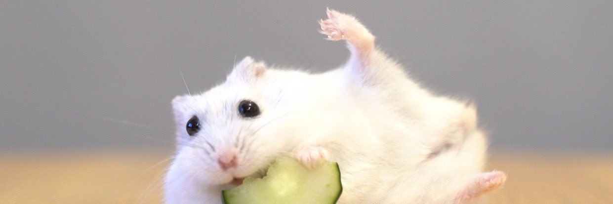 yyydi's profile banner image