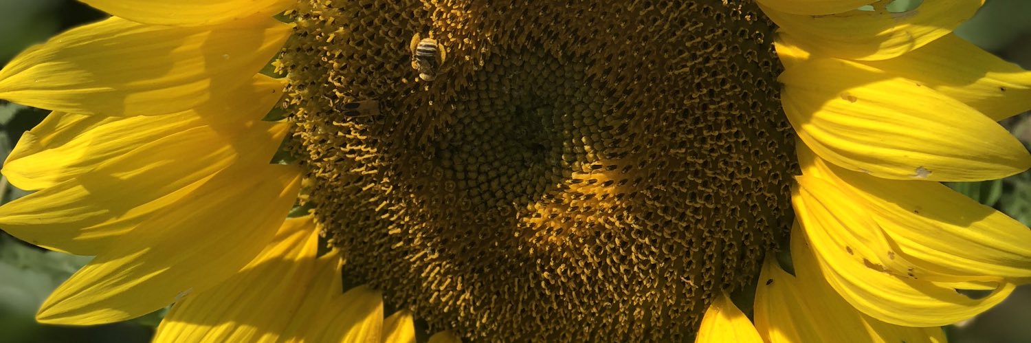 Caroline Atkinson banner