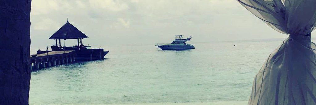 MDSA_US's profile banner image