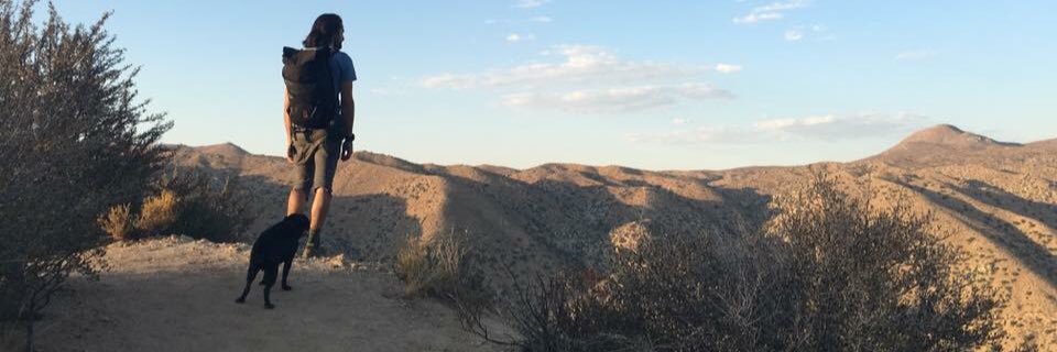 davinspridgen's profile banner image