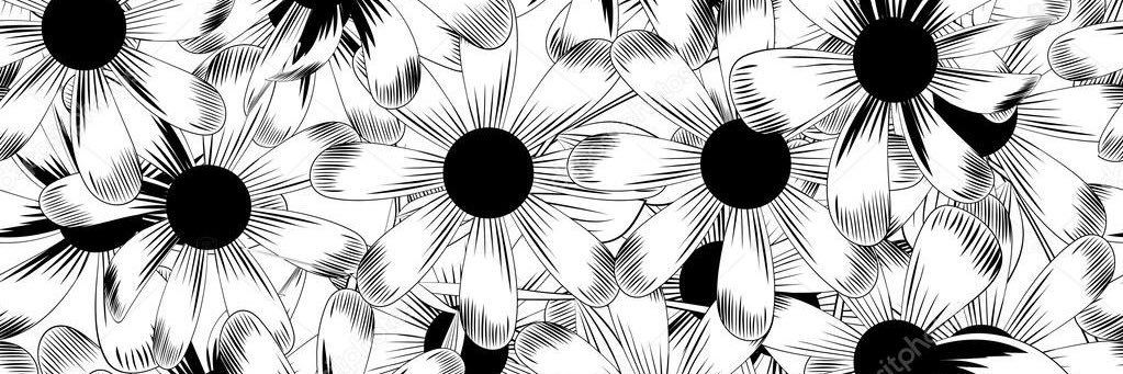 mayrasarco's profile banner image