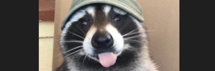 angelarmiller's profile banner image