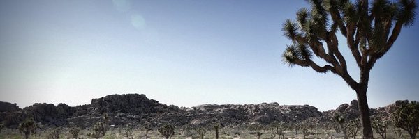 Octogroove Profile Banner