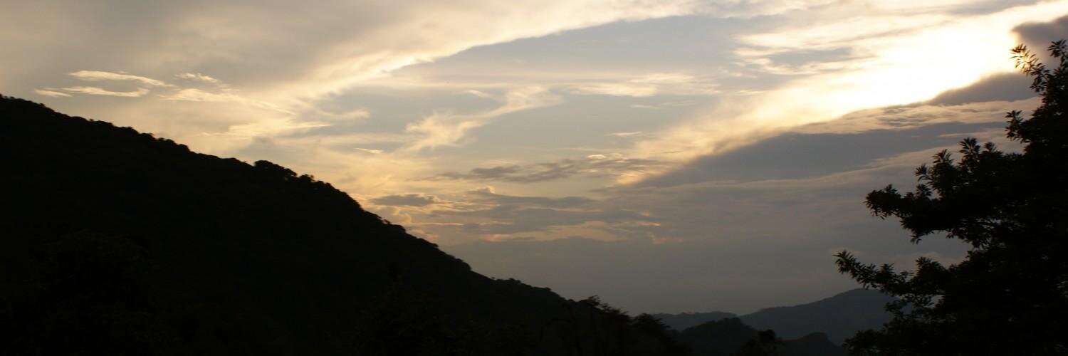 Samrudha's profile banner image