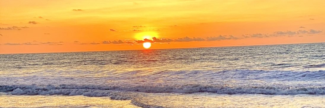 andreanevarezC's profile banner image