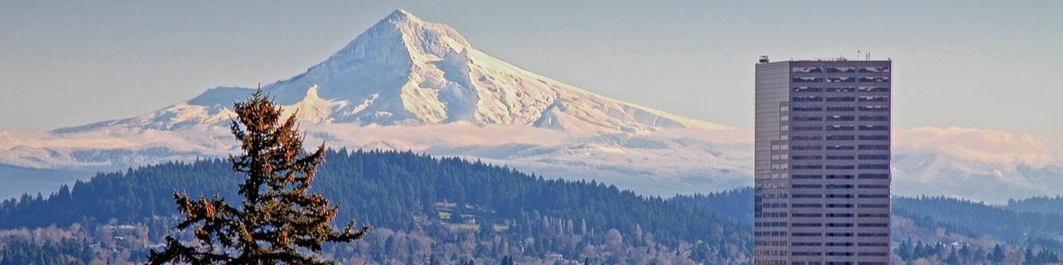 Jennifer Sheasgreen banner