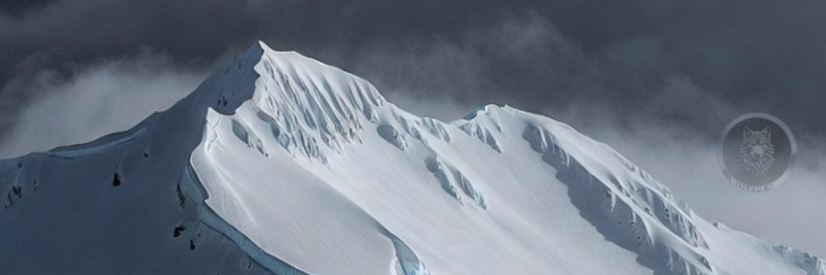 Frank Mills banner