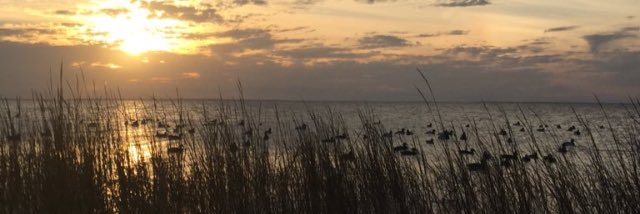 Fratman_Edwards's profile banner image