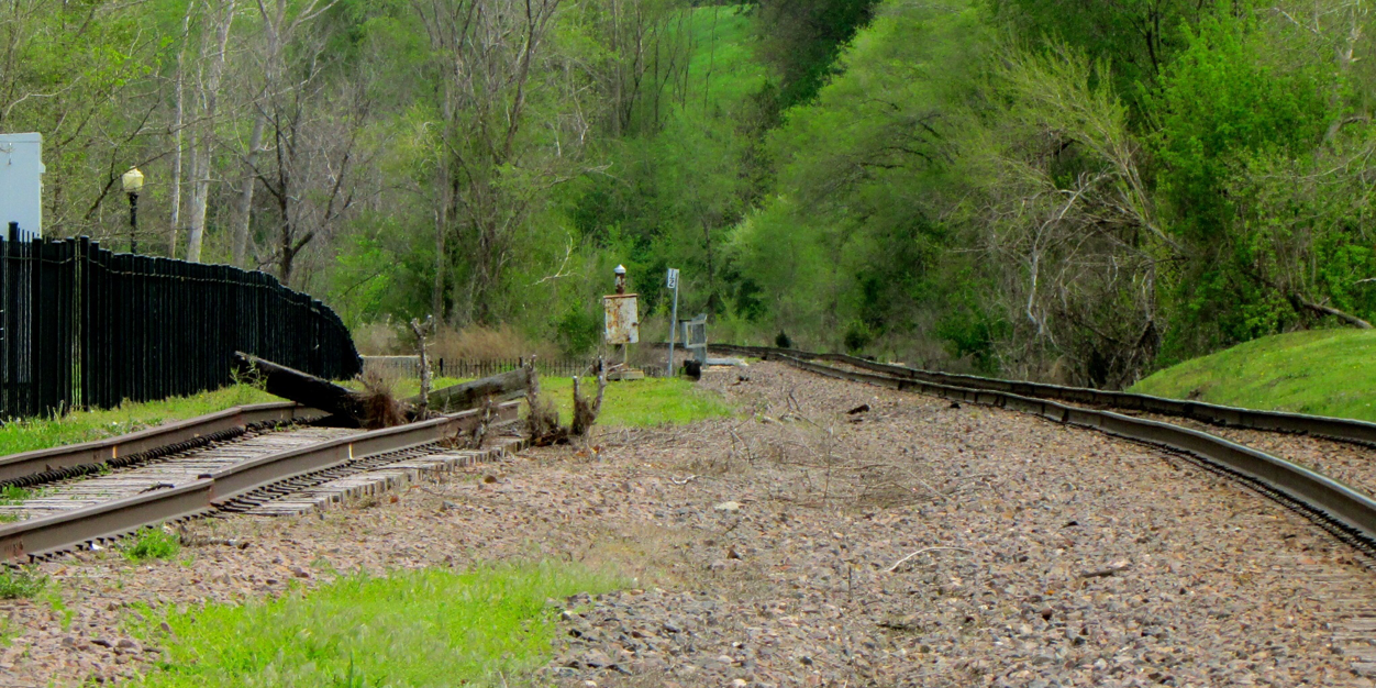 ChaRipley's profile banner image