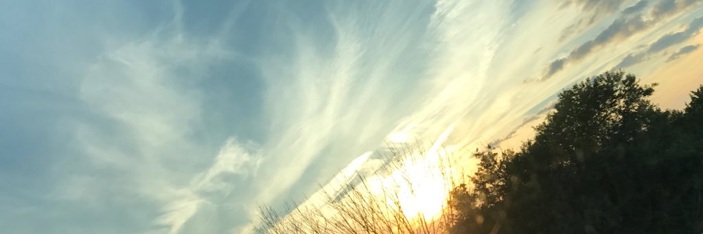 clam_12's profile banner image