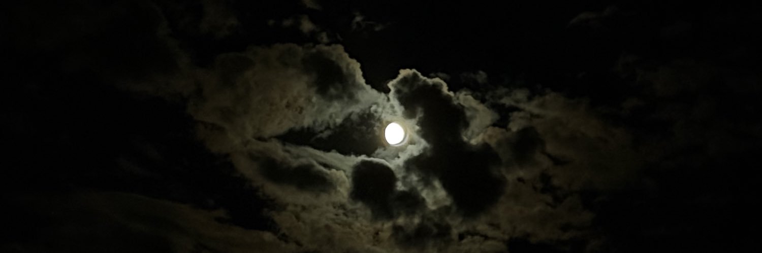 oceaaunn's profile banner image
