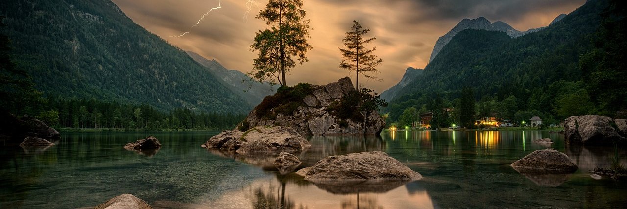 cinzia meocci banner