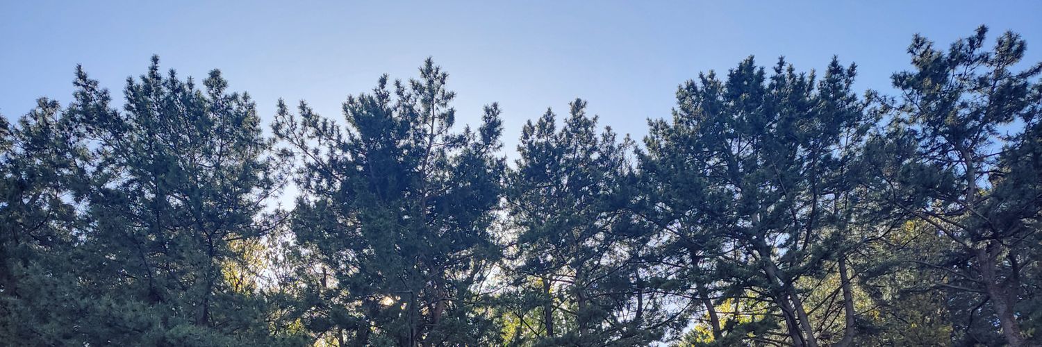 monoka21's profile banner image