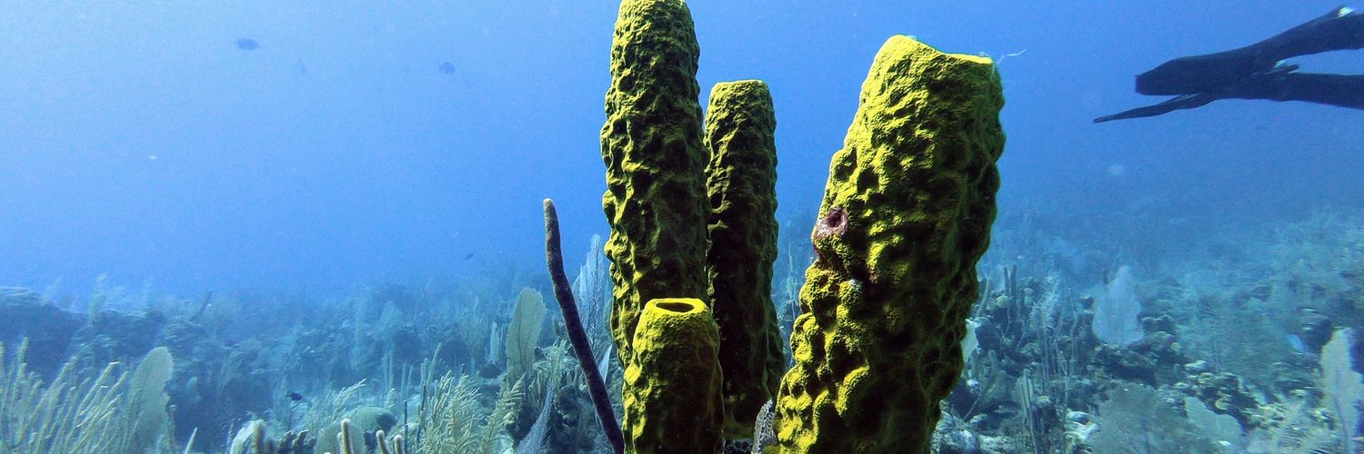 creatify_me's profile banner image