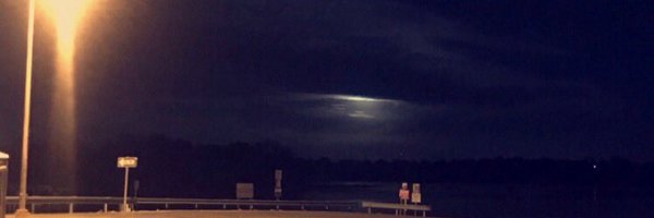 officialcels Profile Banner