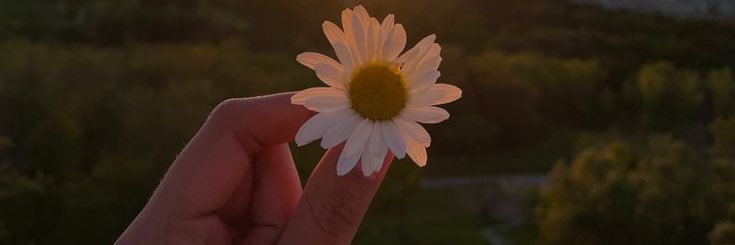 b_mrzo's profile banner image