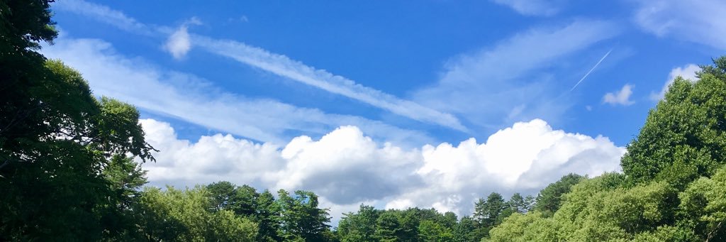 nonnon314's profile banner image