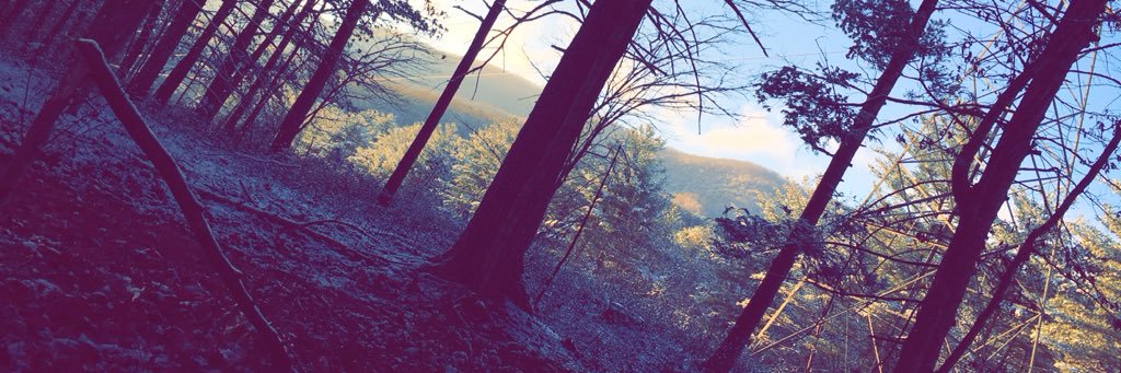 E_Nicely's profile banner image