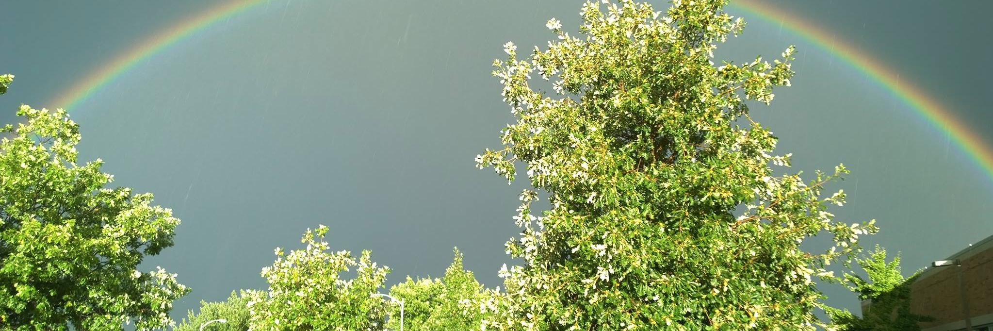SeanFlynnMI's profile banner image