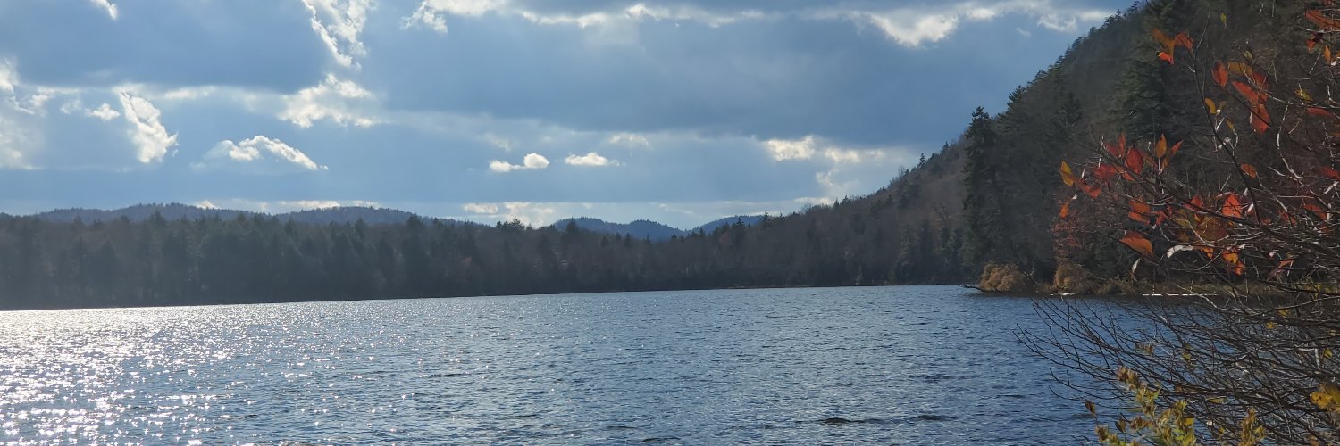 BillLouer's profile banner image