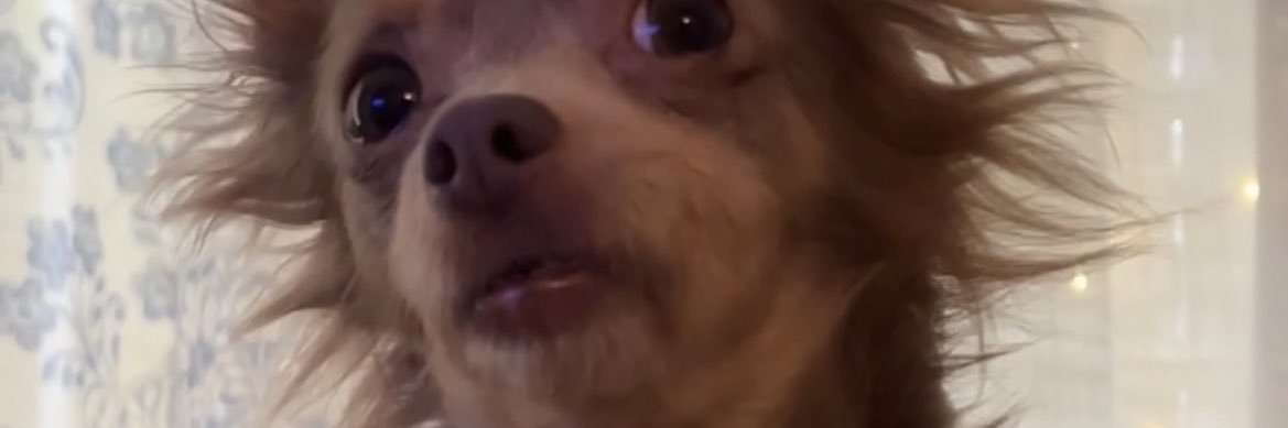 gendryisbae's profile banner image