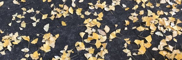 HaRiver Profile Banner