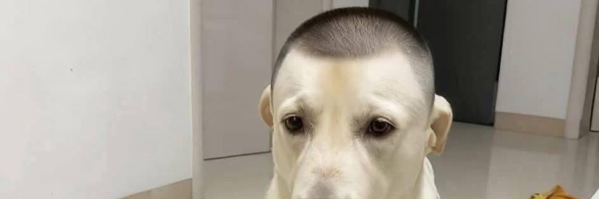 cring_dm's profile banner image