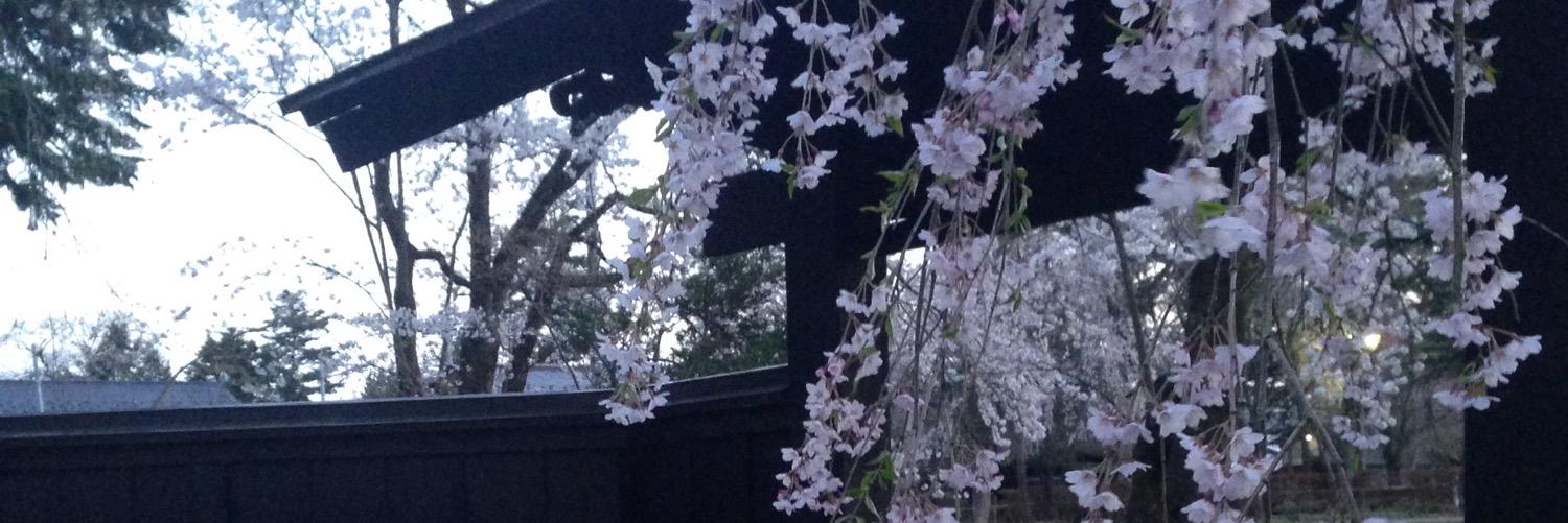otowa_cherry's profile banner image