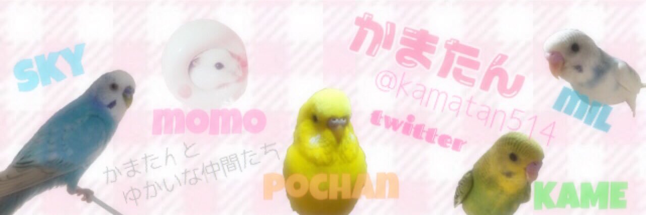 kamatan514's profile banner image