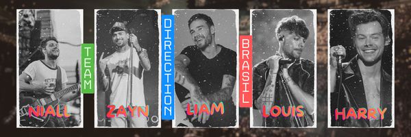 One Direction Brasil banner