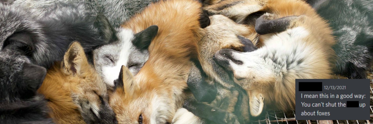 foxkinheart's profile banner image