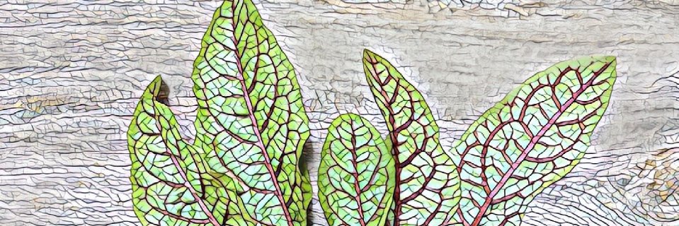 BrandonHebor's profile banner image