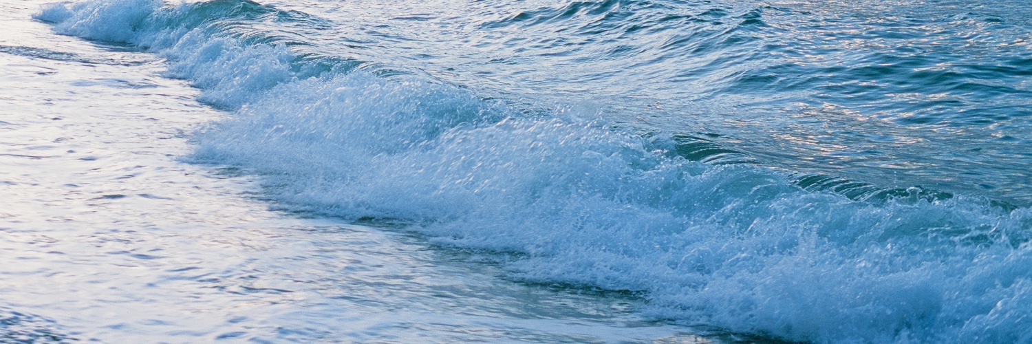 lightlyheld's profile banner image