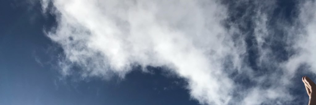 SaraOBrienL's profile banner image