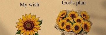 TeddyLickle2016's profile banner image