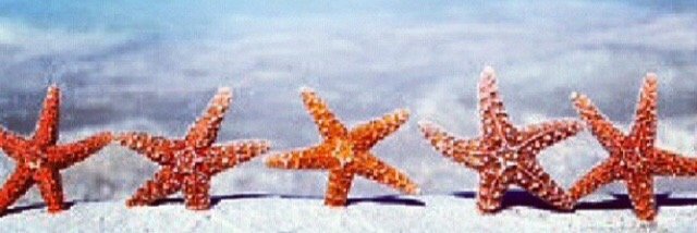 Mermaid Problems banner